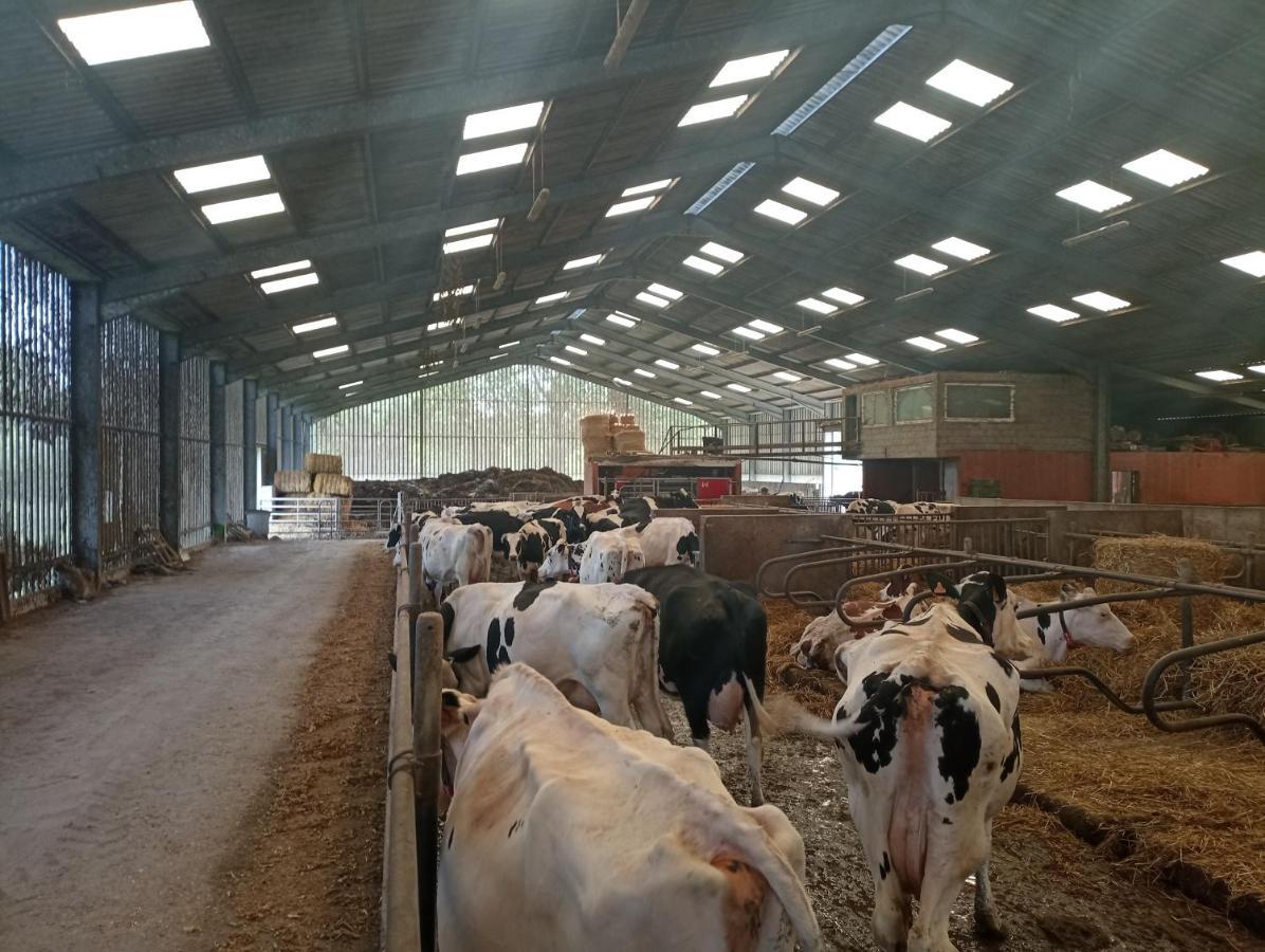 Gite A La Ferme Chez Magali Escaudoeuvres Exterior photo