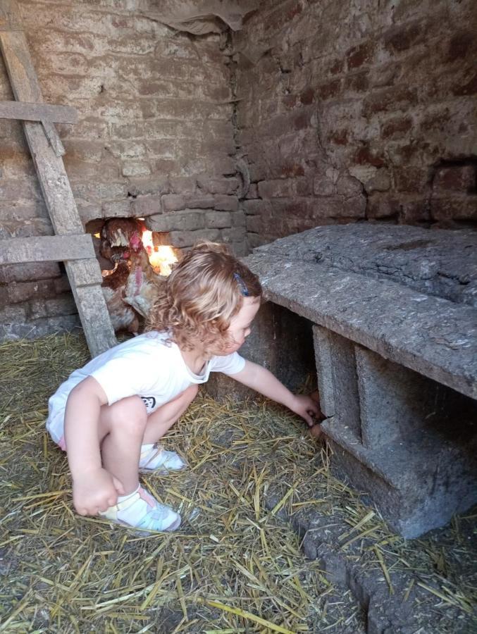 Gite A La Ferme Chez Magali Escaudoeuvres Exterior photo