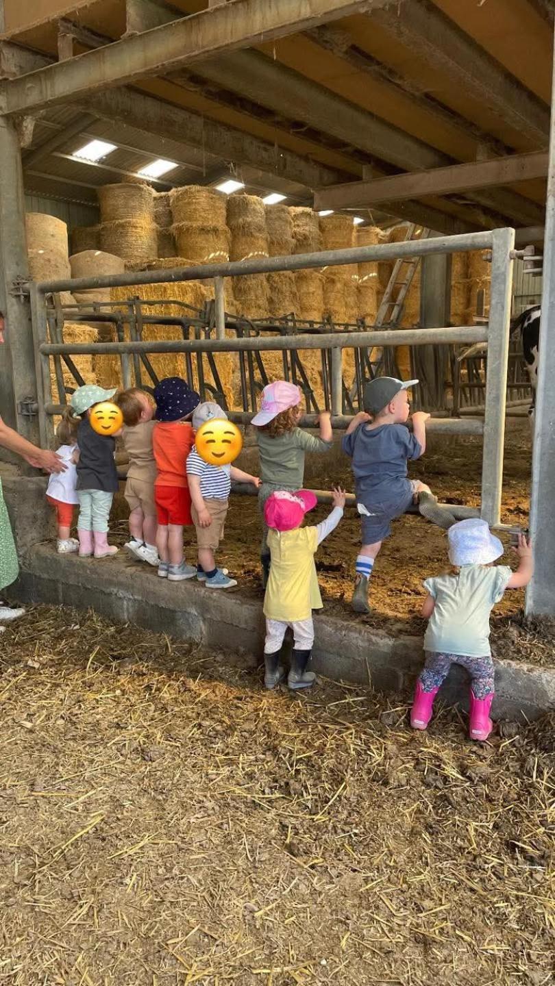 Gite A La Ferme Chez Magali Escaudoeuvres Exterior photo